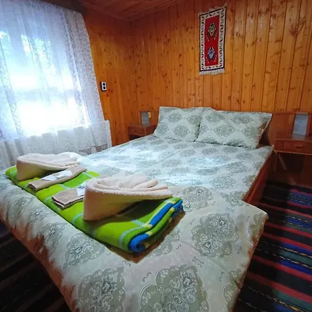 балтовата къща *